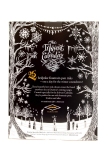 Diamine Inkvender BLACK Adventskalender Tintenkalender 25 exklusive Sonderfarben